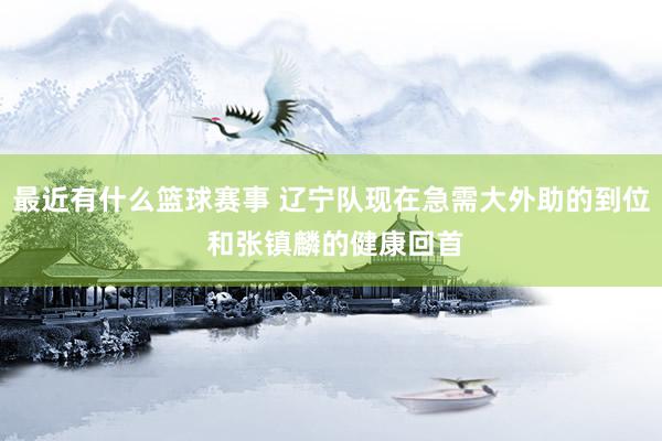 最近有什么篮球赛事 辽宁队现在急需大外助的到位 和张镇麟的健康回首